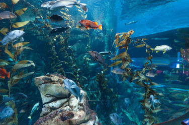 Similar image 13093840