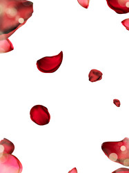 Similar image 13102762