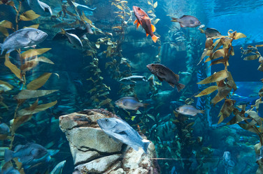 Similar image 13094018