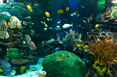 Similar image 13094000