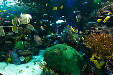 Similar image 13094039