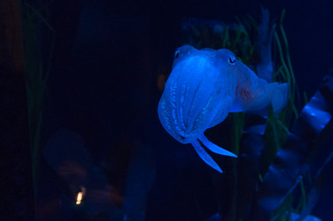 Similar image 13094120