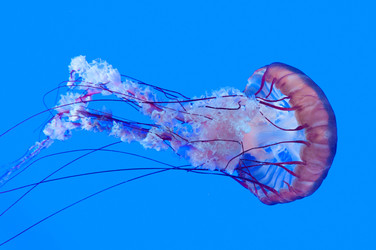 Similar image 13094197