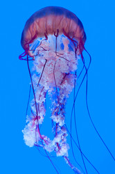 Similar image 13094198