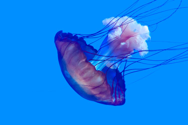 Similar image 13094199