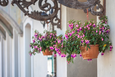 Similar image 13099726