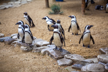 Similar image 13094218