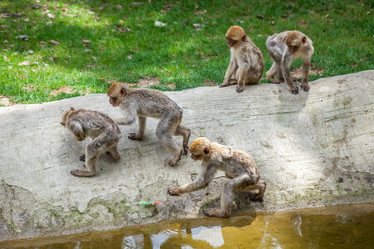 Similar image 13094220