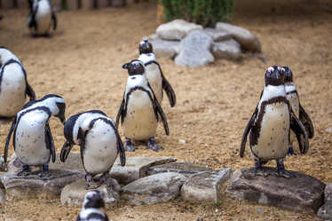 Similar image 13099715