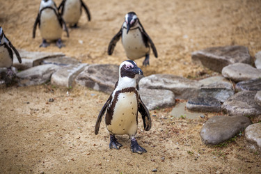 Similar image 13099717