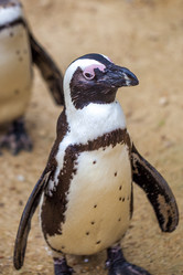 Similar image 13099719