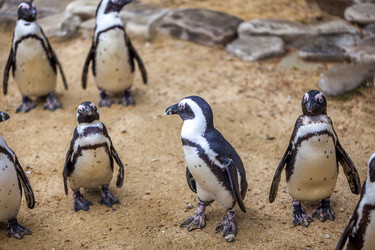 Similar image 13099720