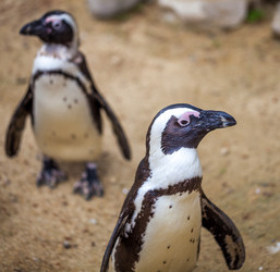 Similar image 13099723