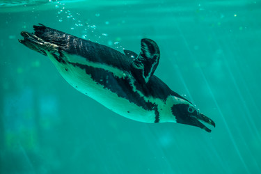 Similar image 13099724