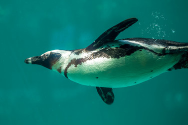 Similar image 13099727