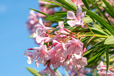 Similar image 13099733