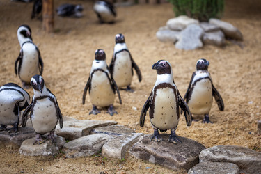 Similar image 13099735