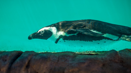 Similar image 13099736