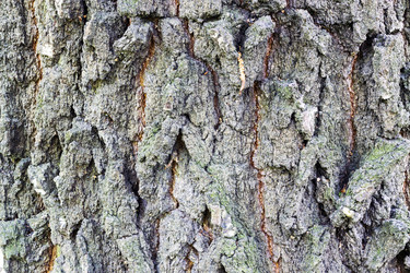 Similar image 13094942