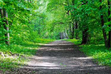 Similar image 13094943