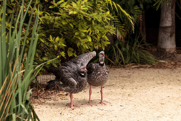 Similar image 13106129