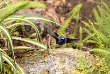 Similar image 13106131