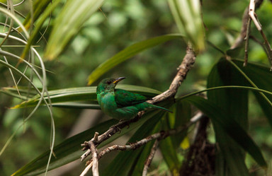 Similar image 13106135