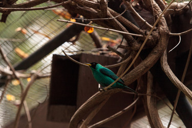 Similar image 13106136