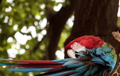 Similar image 13106139