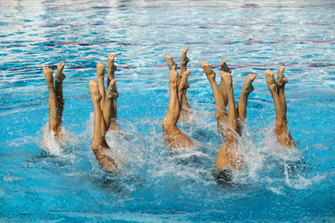 Similar image 13096190