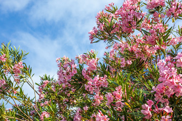 Similar image 13099741