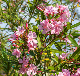 Similar image 13099742