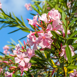 Similar image 13099743