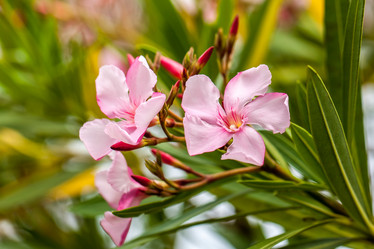 Similar image 13099746