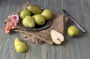 Similar image 13094253