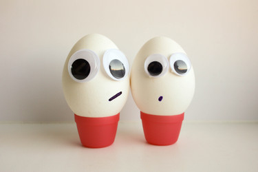 Similar image 13104229