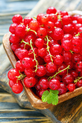 Similar image 13094918