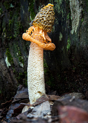 Similar image 13098357