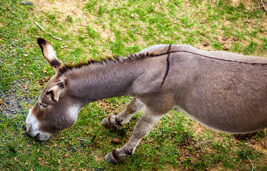 Similar image 13098377