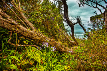 Similar image 13098385