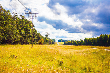 Similar image 13098294