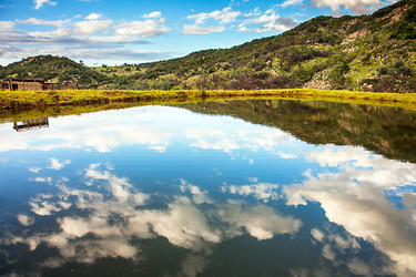 Similar image 13098296