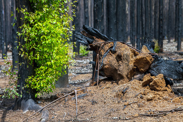 Similar image 13098297