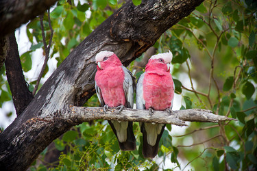 Similar image 13098307