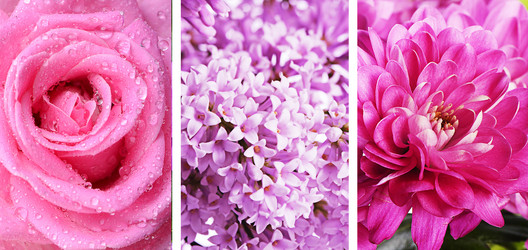 Similar image 13098052