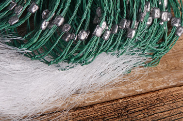 Similar image 13098076