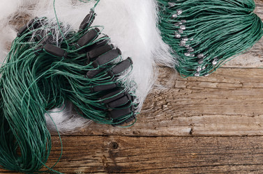 Similar image 13098078