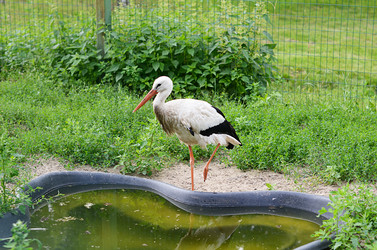 Similar image 13098117