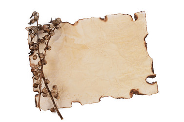 Similar image 13098136