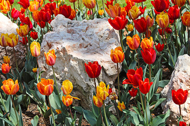 Similar image 13098156